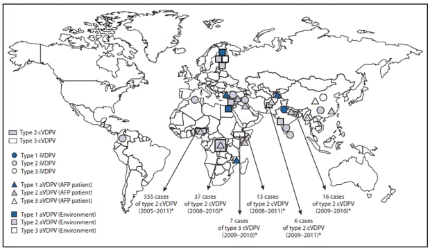 The figure shows vaccine-derived polioviruses (VDPVs) detected worldwide during July 2009-March 2011. The number of countries with indigenous circulating VDPVs emer¬gence increased from three to six since the last reporting period, and VDPVs were imported from Nigeria into two countries. In all but one country, the emerging circulating VDPVs were type 2.